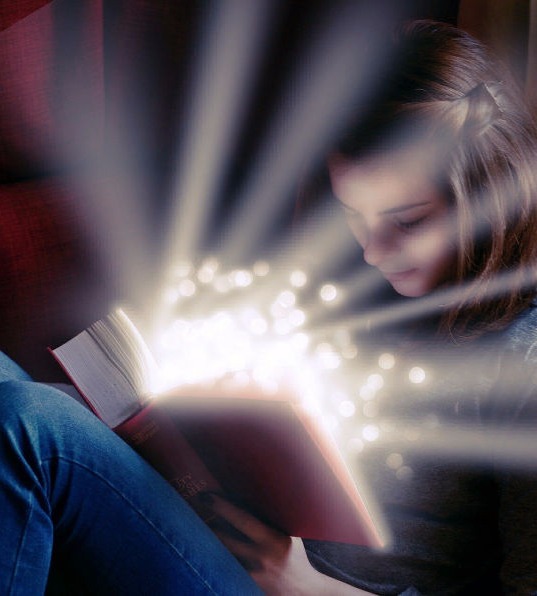 قطاع التعليم